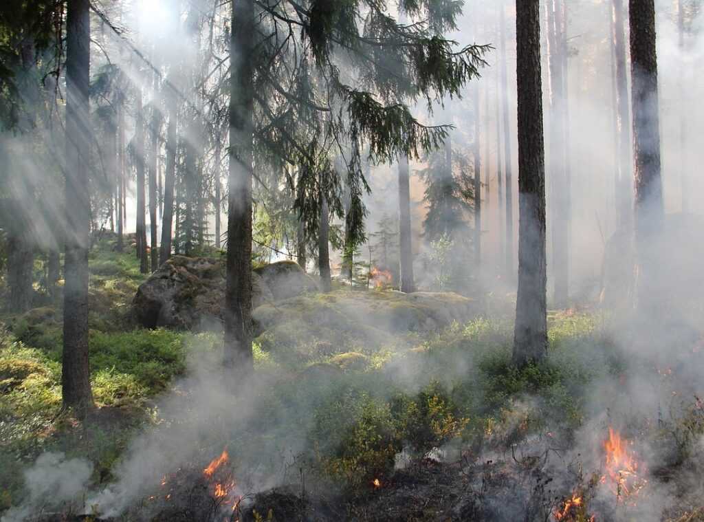 conservation news highlights