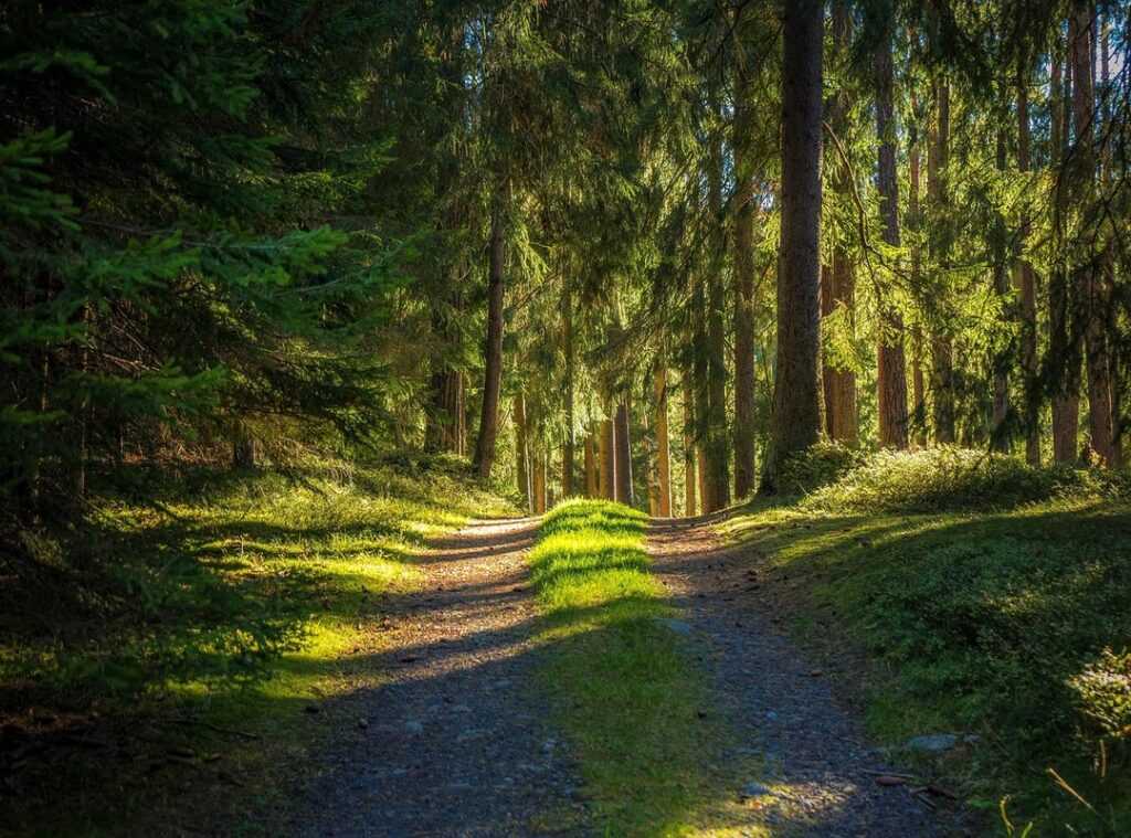 long-distance hiking strategies
