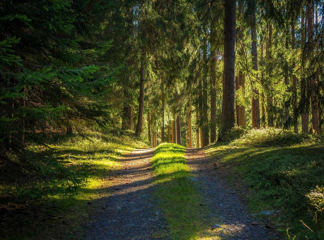 long-distance hiking strategies