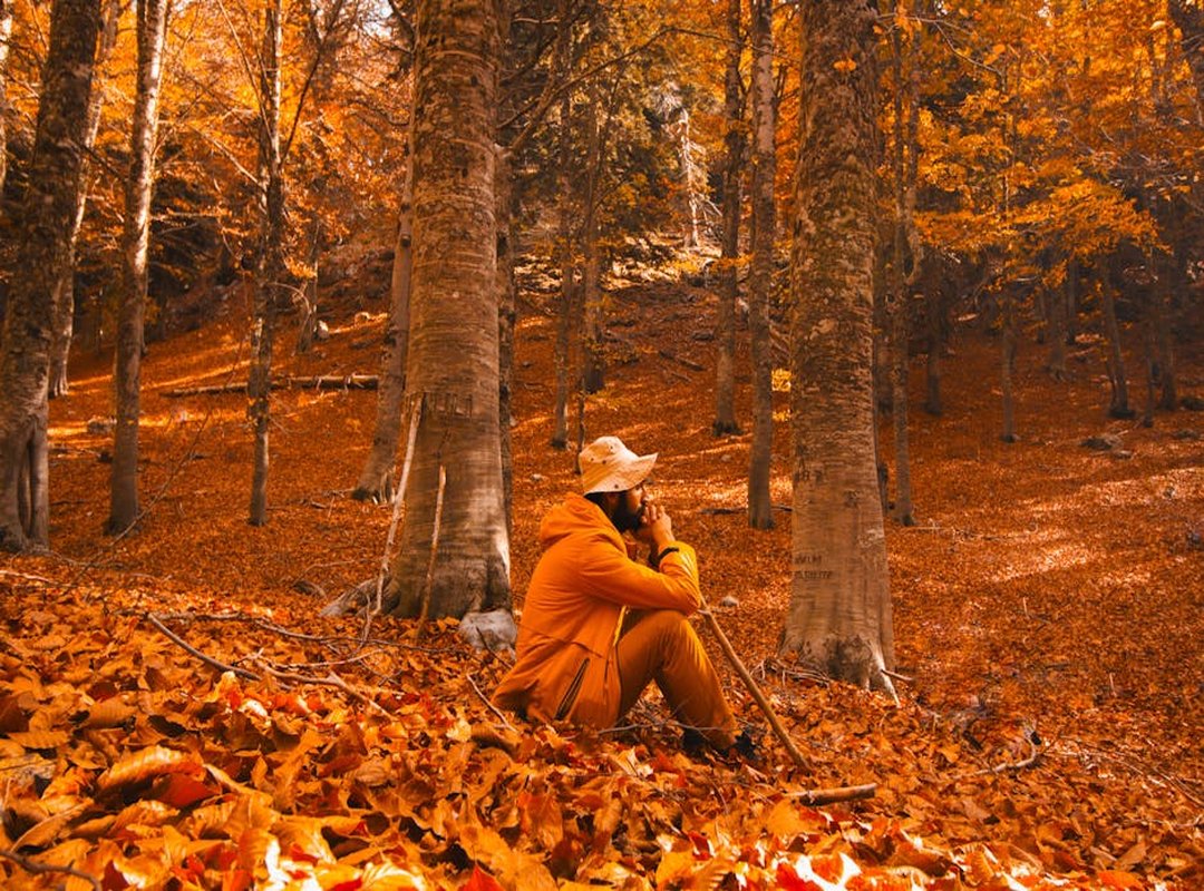 navigate wilderness technology-free