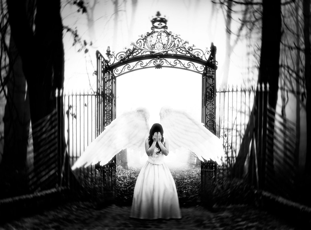 The Human Impact of Leaks and Online Rumors