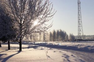 what is the temperature in timgoraho