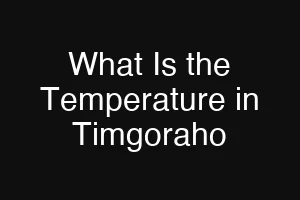 What Is the Temperature in Timgoraho